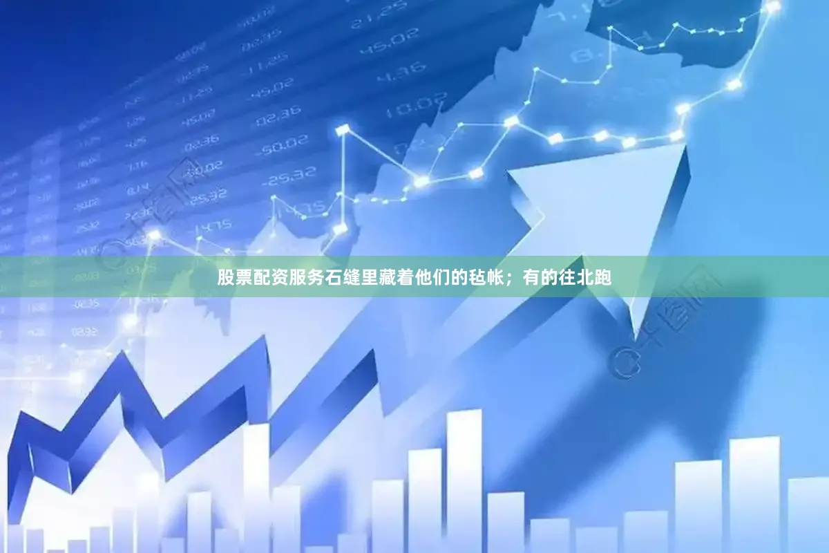 股票配资服务石缝里藏着他们的毡帐；有的往北跑