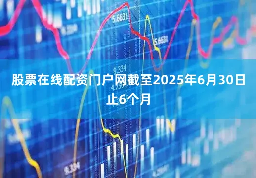 股票在线配资门户网　　截至2025年6月30日止6个月